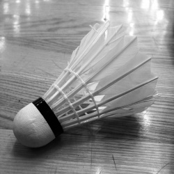 Badminton-2025